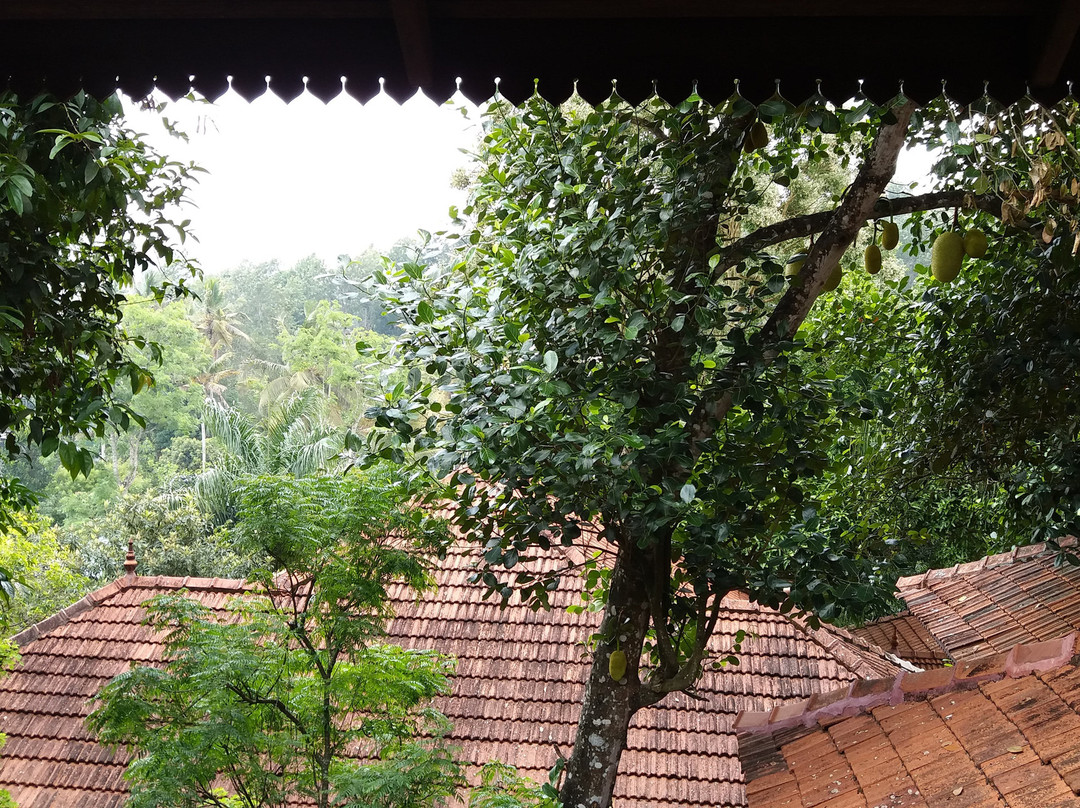 The Elephant Court主图