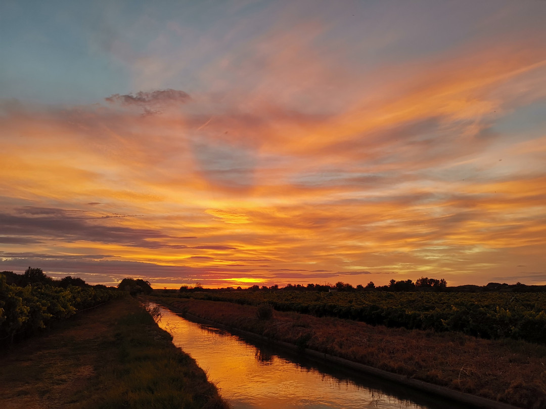 Ou Skool Guest House主图