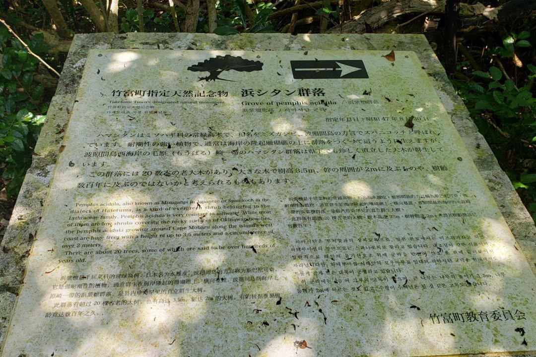 Hamashitan Habitat景点图片
