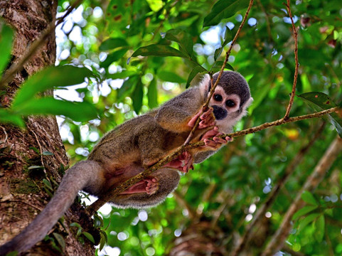El Barak Ecuador Travel-基多必去景点