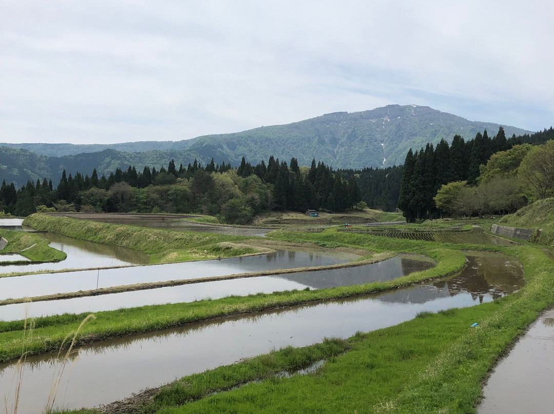 Mt. Hyono-养父市必去景点
