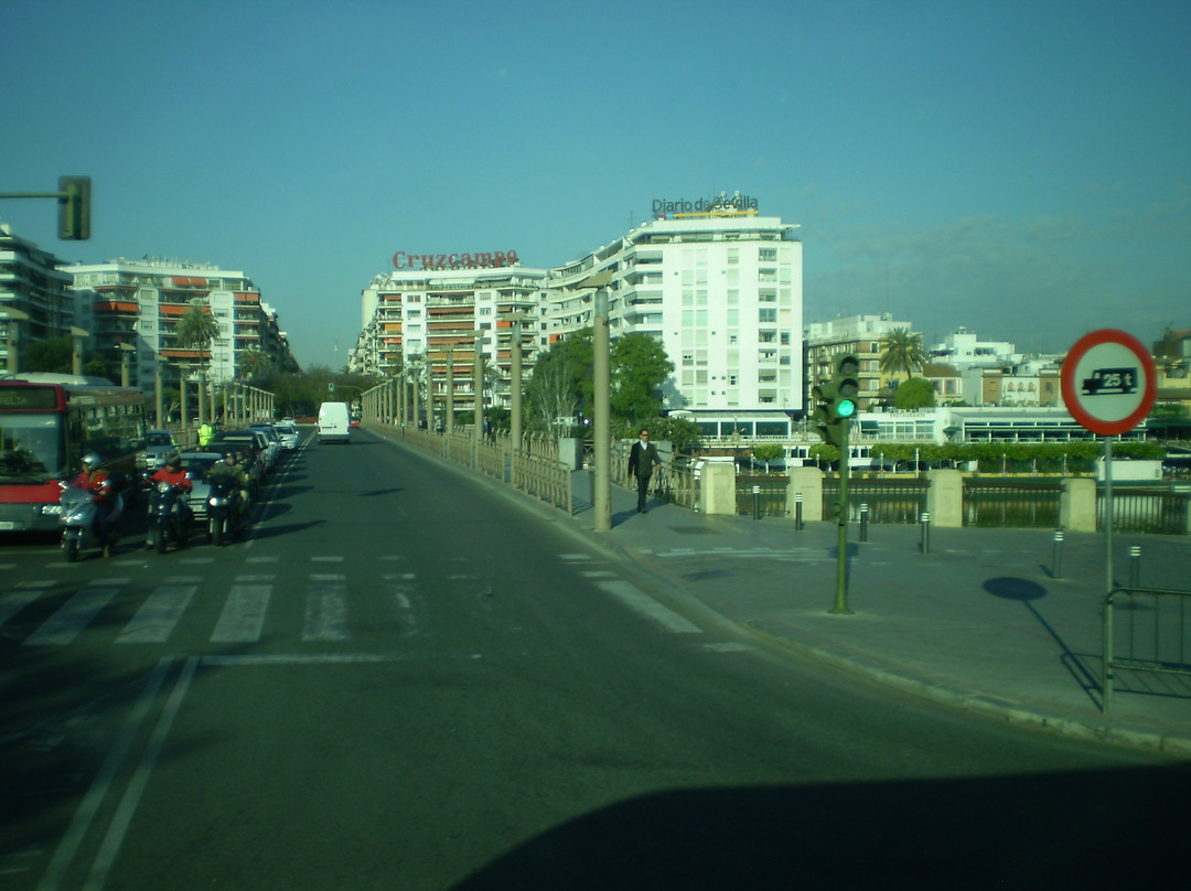 Puente de San Telmo景点图片