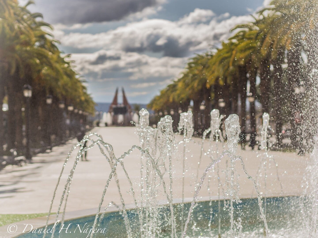 Paseo de las Palmeras景点图片