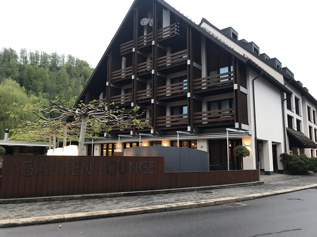 萨尔嫩克朗酒店主图