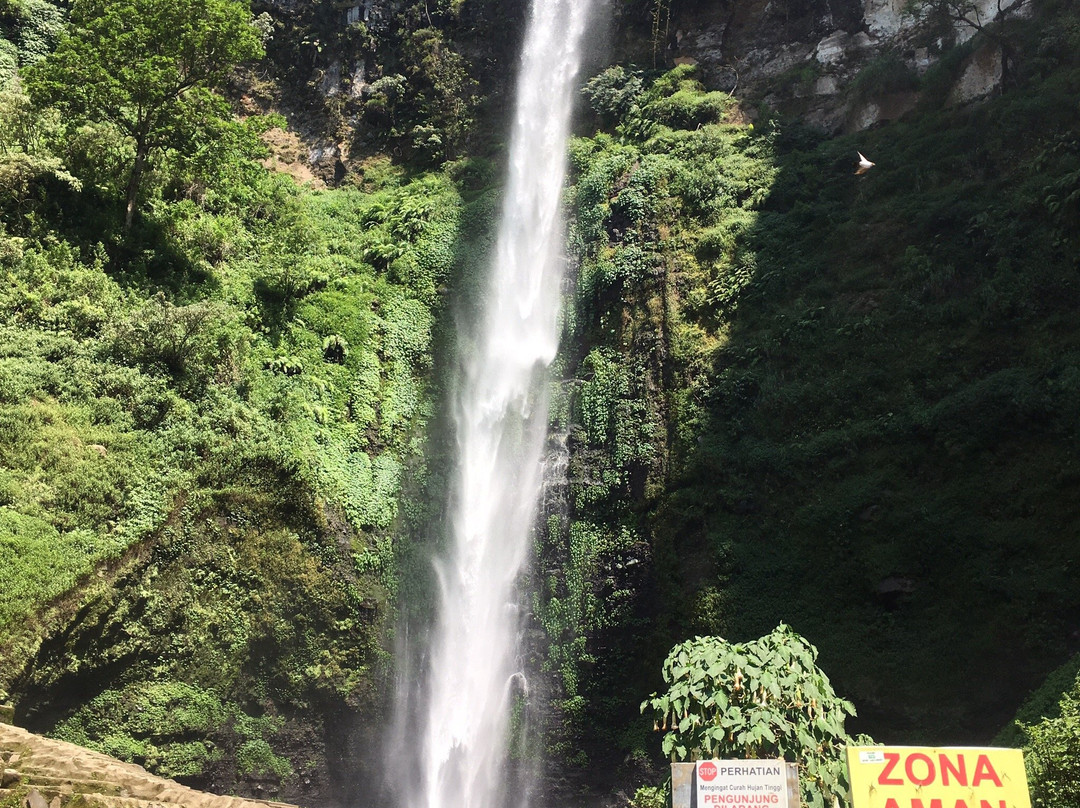 Coban Rondo Waterfall景点图片