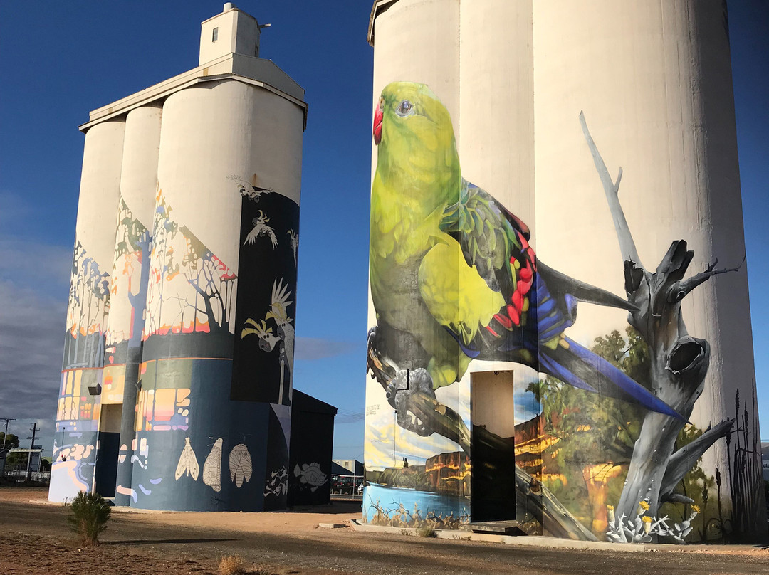 Waikerie Silo Art景点图片