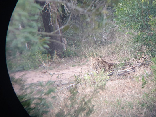 Durban Tours and Safaris-德班必去景点