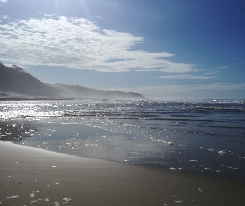 Seagulls Beach Hotel主图