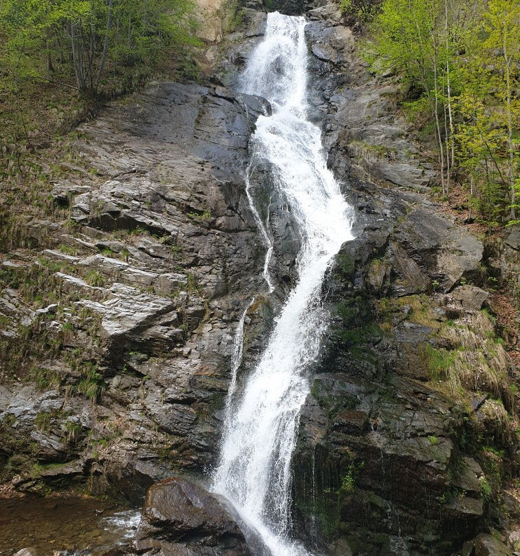 Cozia National Park景点图片