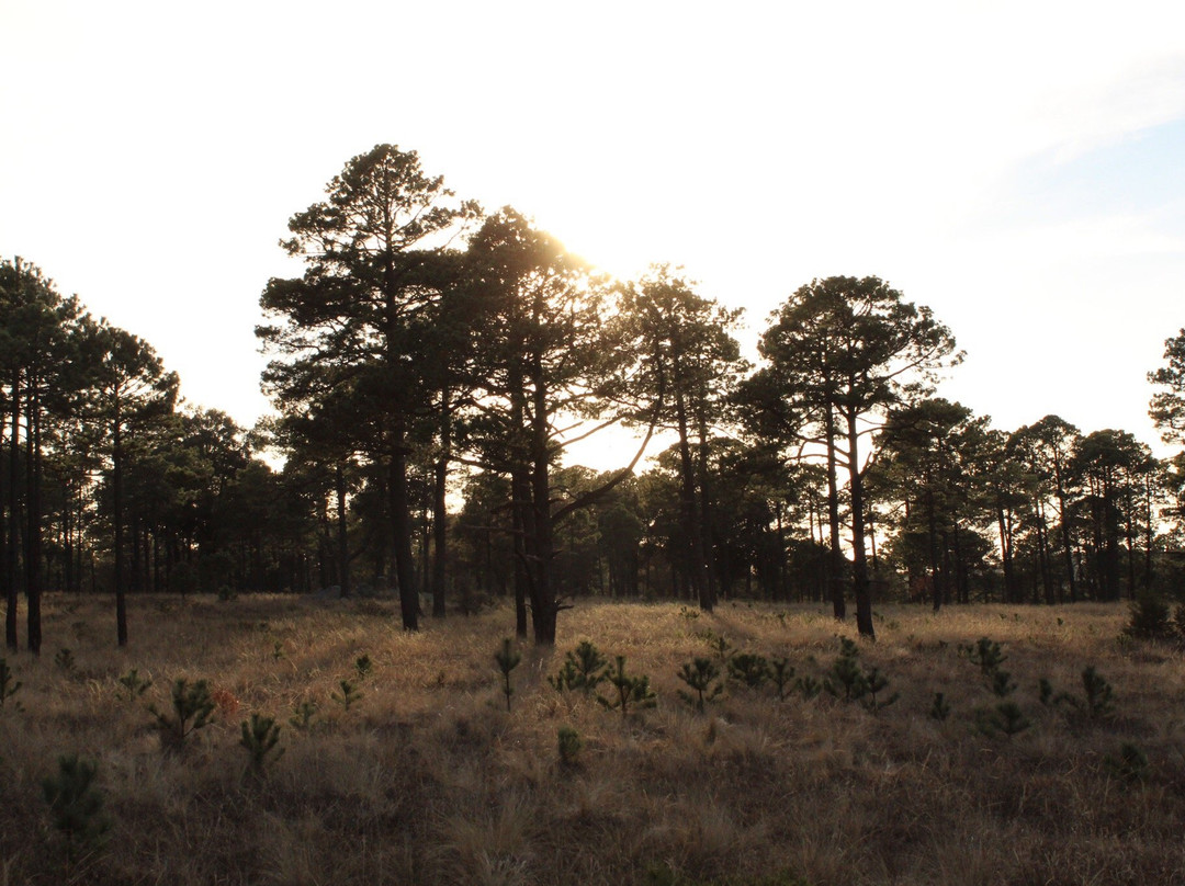 El Tecuan National Park-Durango必去景点