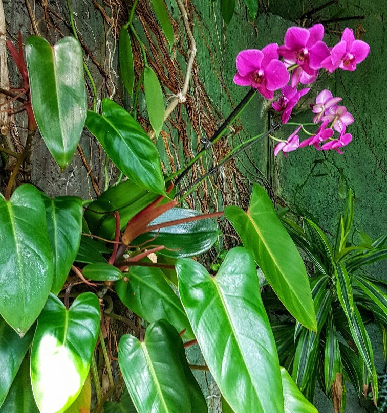 Amarillo Botanical Gardens-阿马里洛必去景点