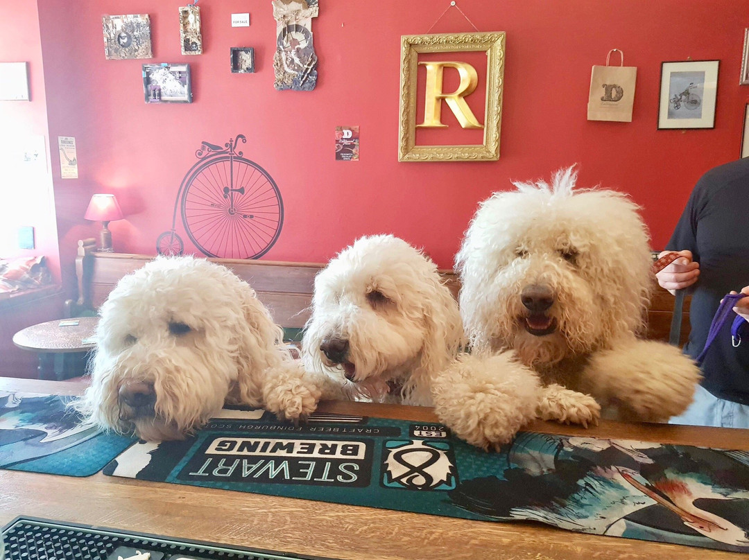 Rutherfords Micropub-凯尔索必去景点