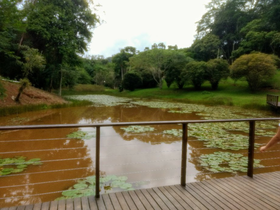 Jardim Botanico UFJF