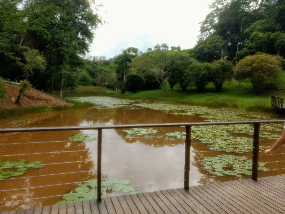 Jardim Botanico UFJF景点图片