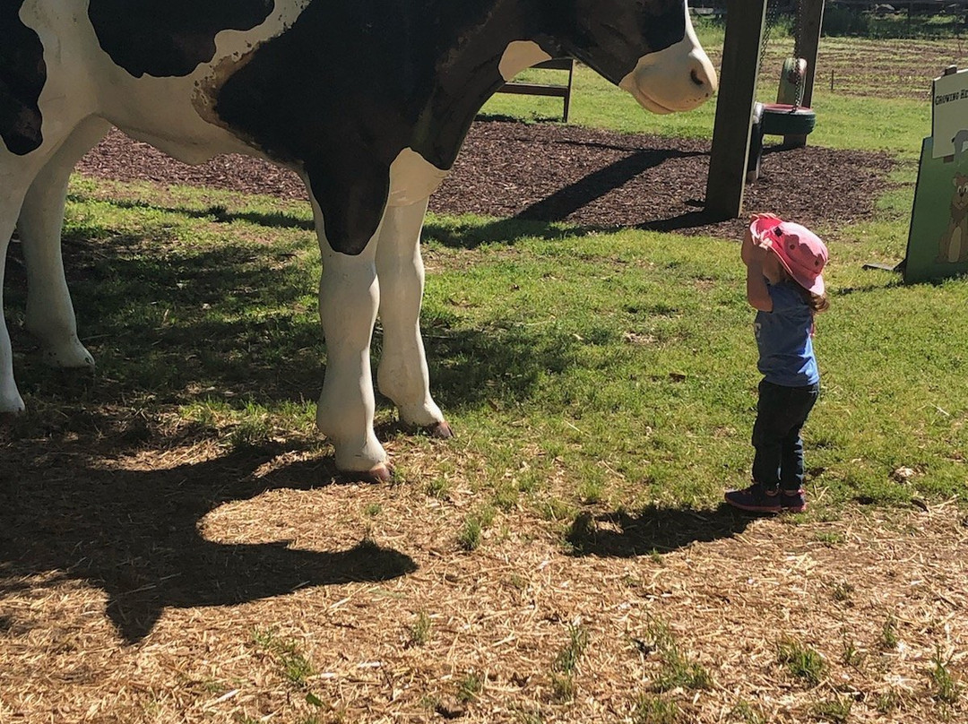 The Rock Ranch-The Rock必去景点