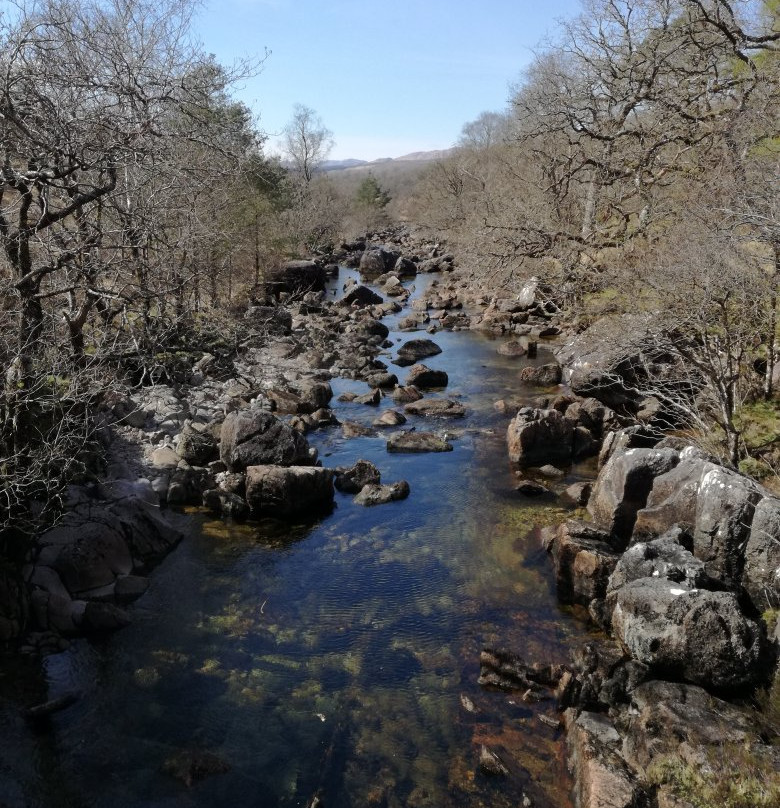 Ariundle Oakwood National Nature Reserve景点图片