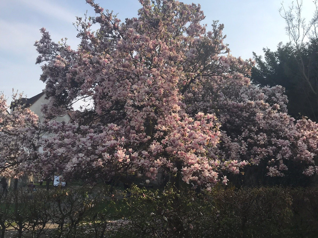 Gaestehaus zur Sonne主图