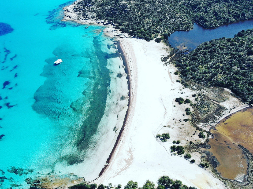 Location Saint-Florent-Saint Florent必去景点