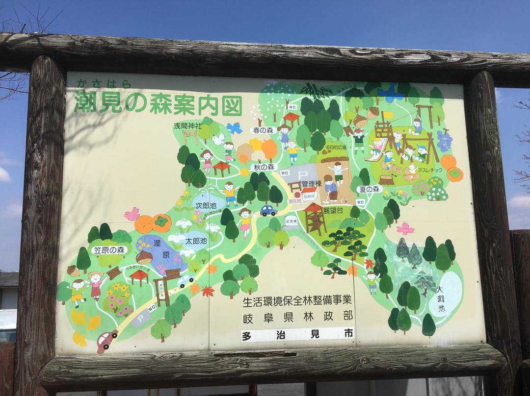 Kasahara Forest of Shiomi景点图片
