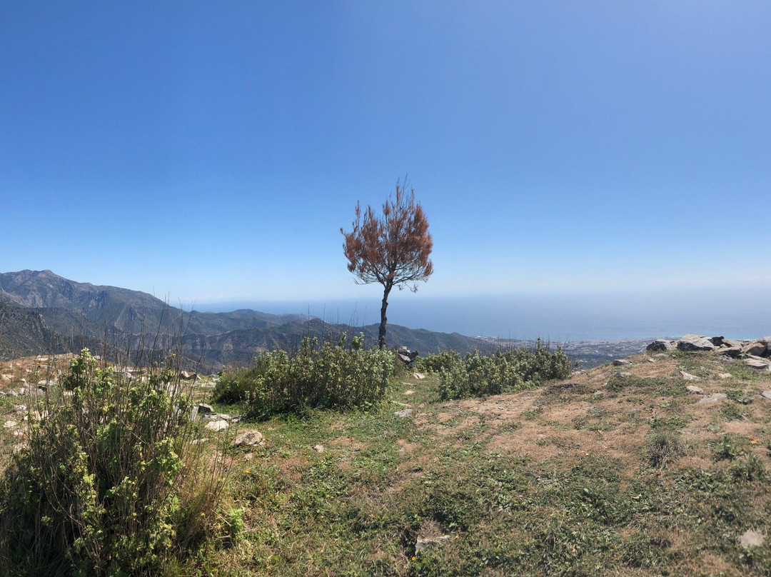 El Fuerte-弗里希利亚纳必去景点