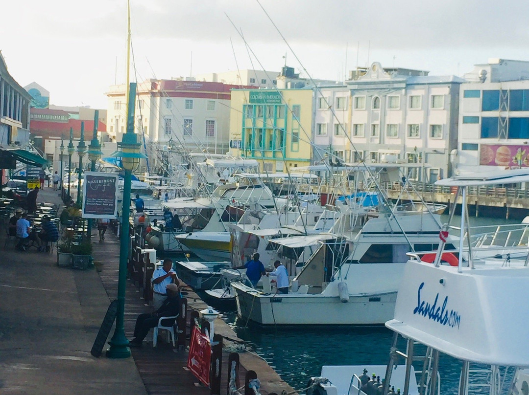 Chamberlain Bridge-布里奇顿必去景点