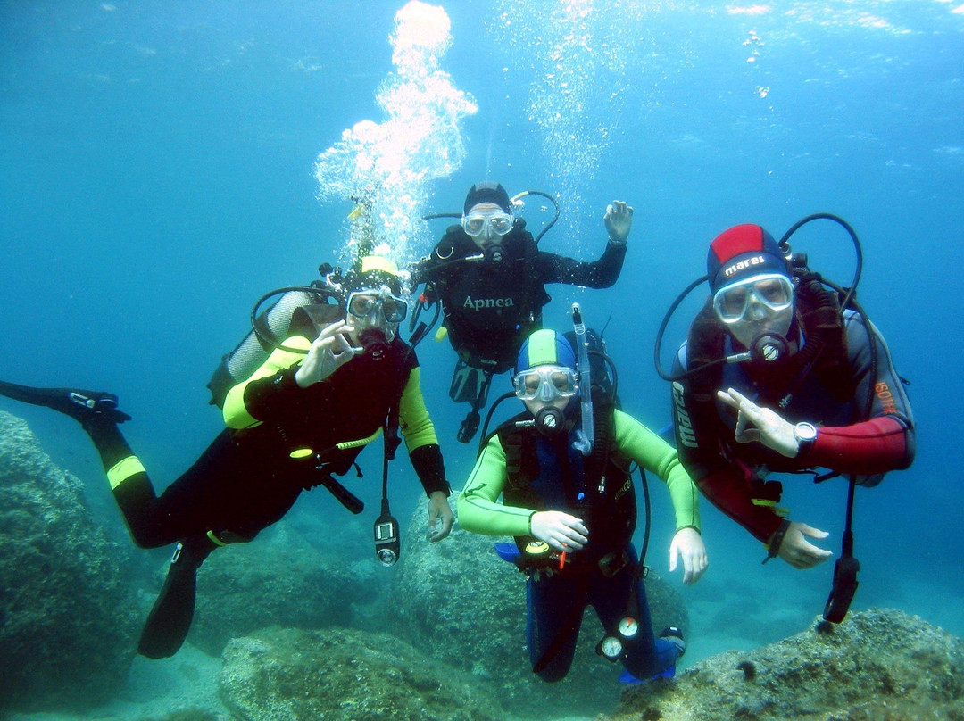 Poros Diving Center-Poros必去景点