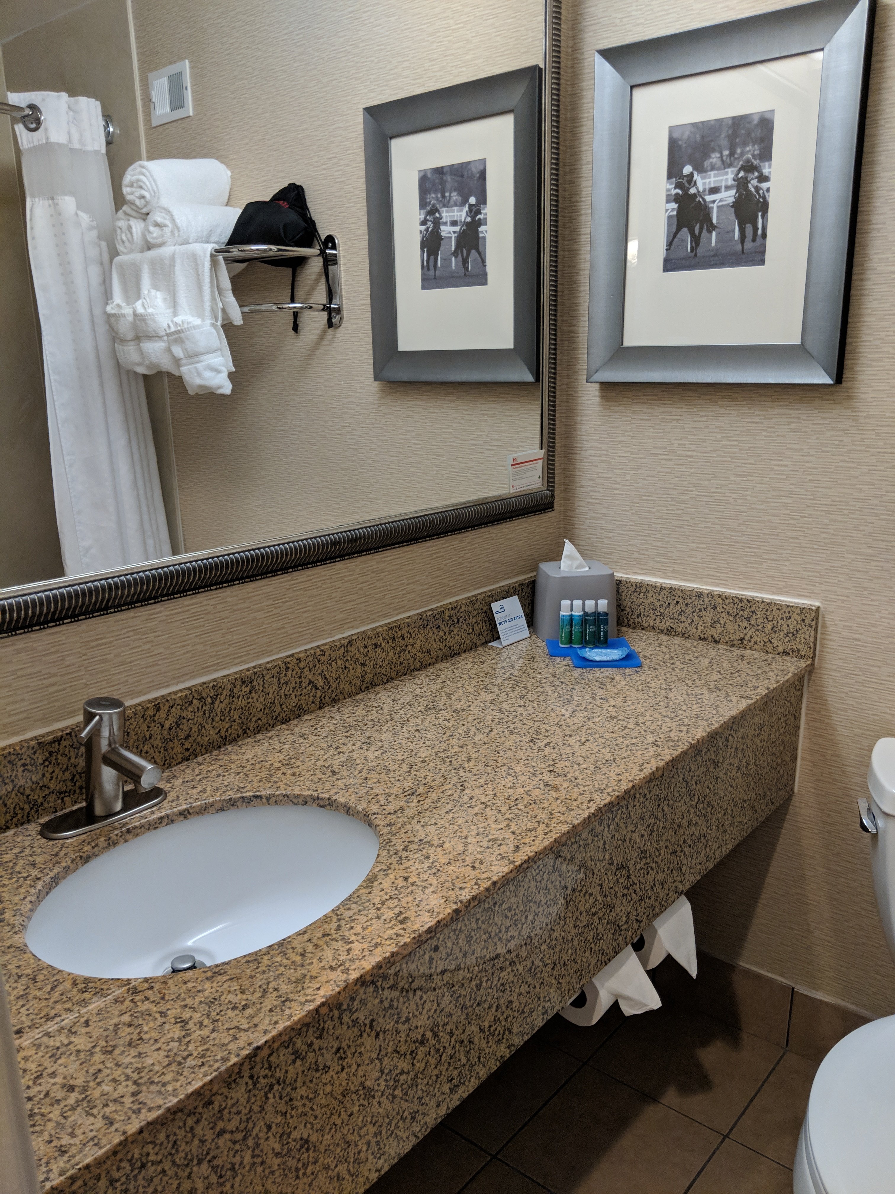 Holiday Inn Express & Suites Laurel By IHG-浴室
