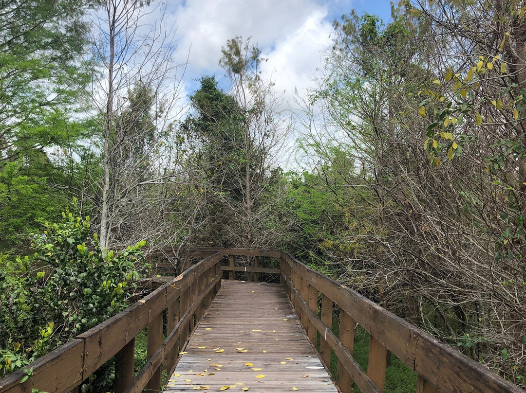 Burt Aaronson South County Regional Park-博卡拉顿必去景点