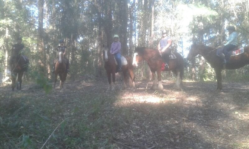 Valery Trails & Horse Riding Centre景点图片