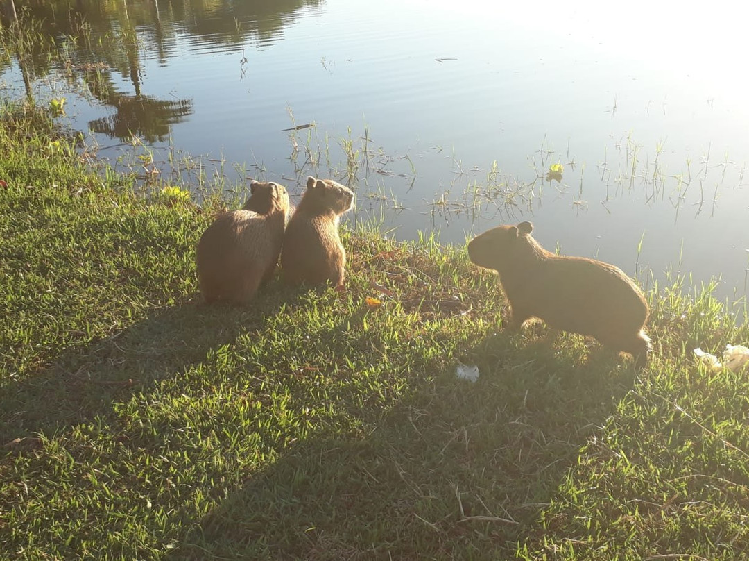 Lagoa Maior-特雷斯拉瓜斯必去景点