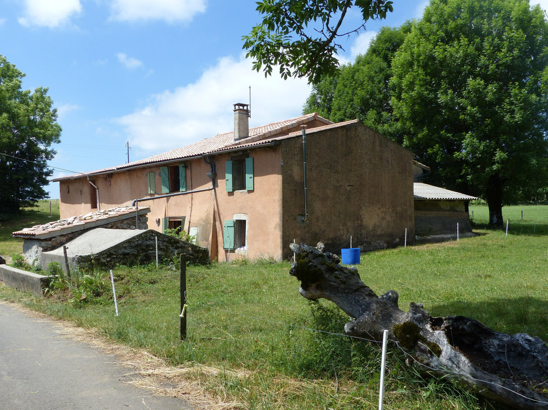 Les Vigouroux
