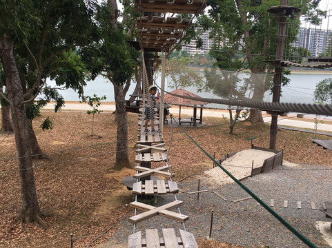 Forest Adventure-新加坡必去景点