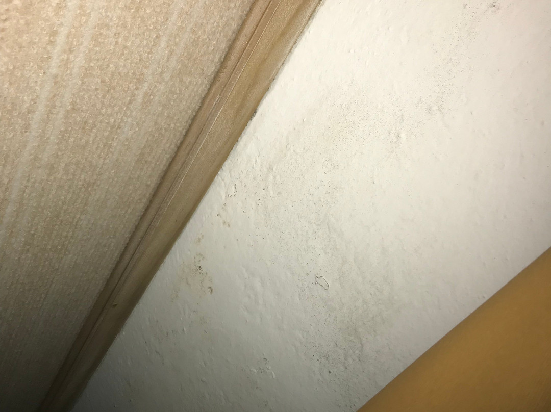 Gasthof Albergo Neuwirt主图