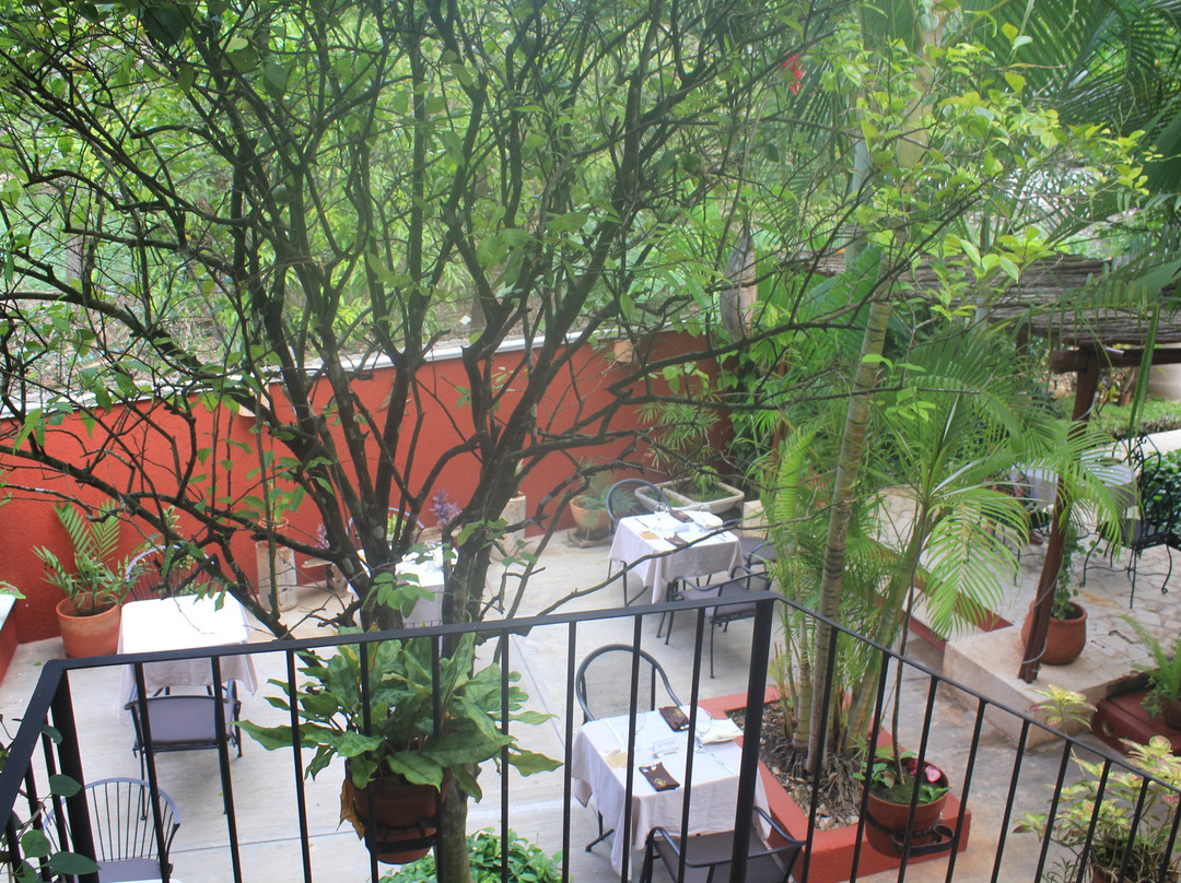 Casa Tía Micha主图