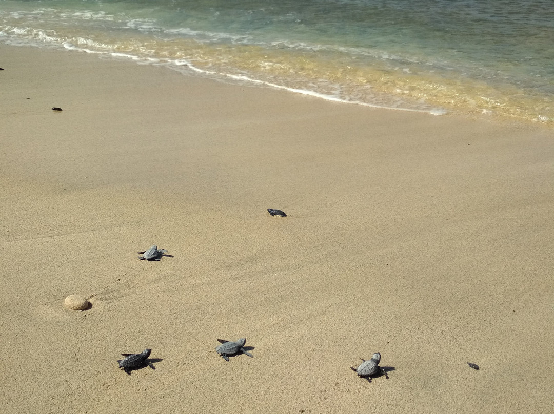 Murdeira Village Resort主图