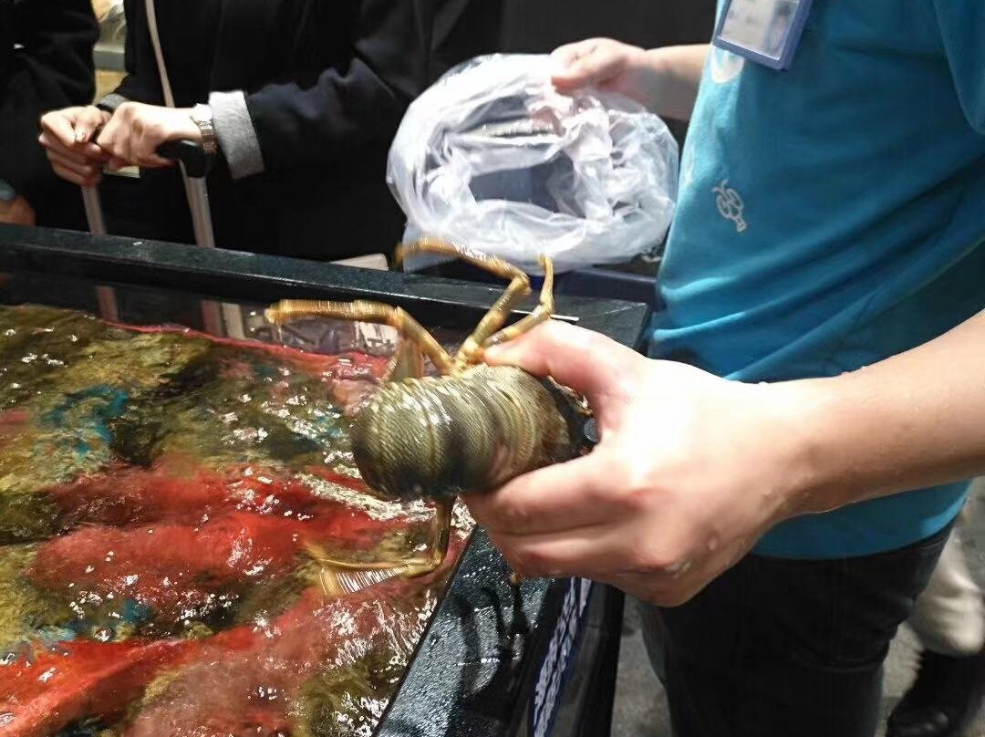 海鲜一条街-深圳市必去景点