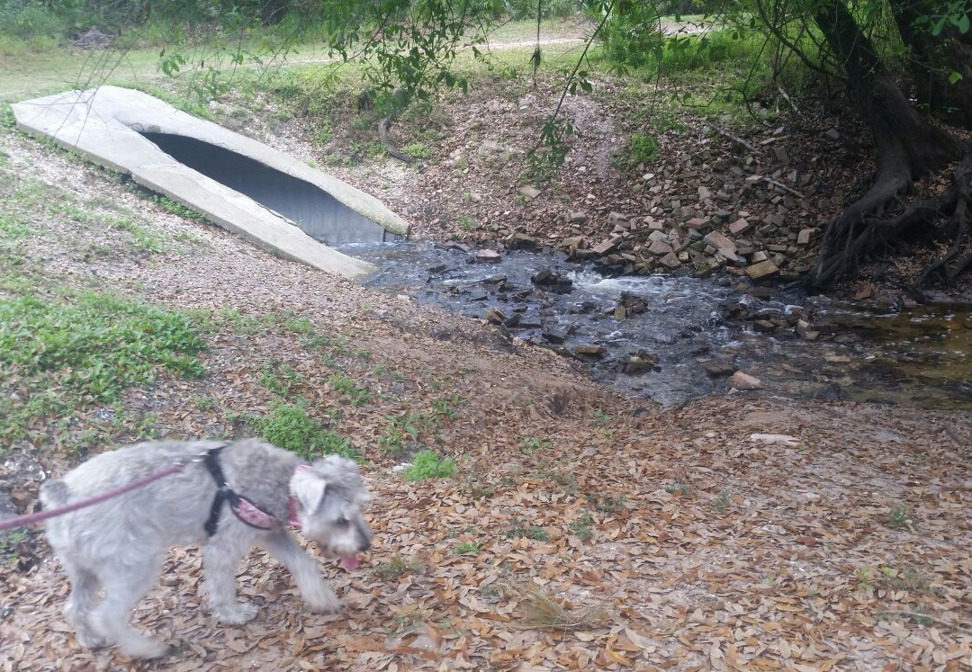 Morgan Park-阿卡迪亚必去景点