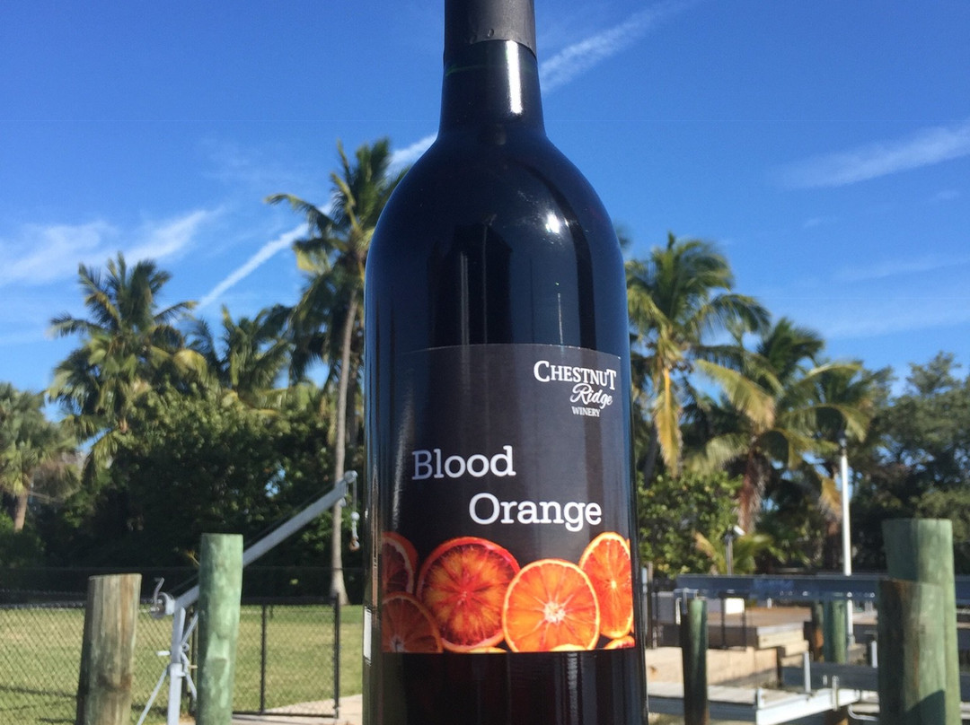 Chestnut Ridge Winery-Spencer必去景点