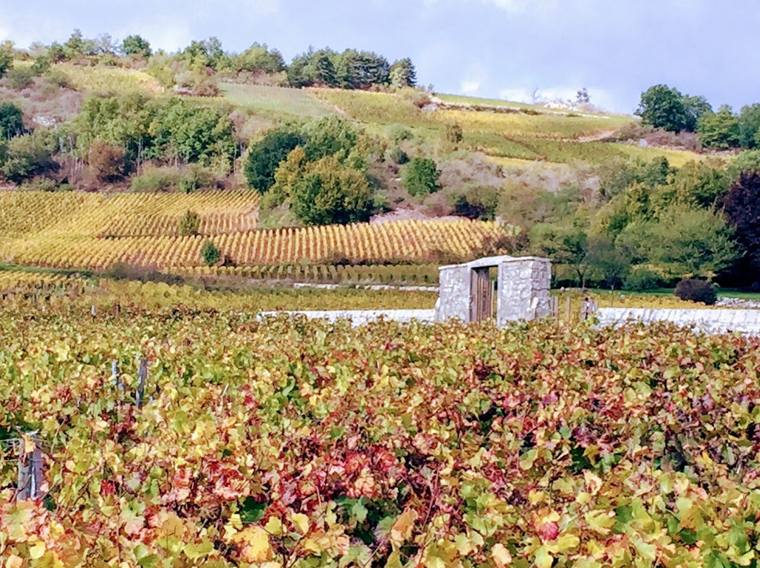 Domaine Pont Juillet主图