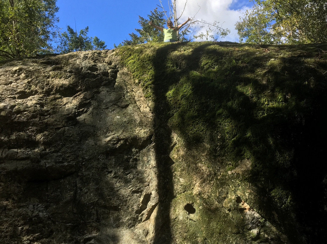 Aldergrove Park-Aldergrove必去景点