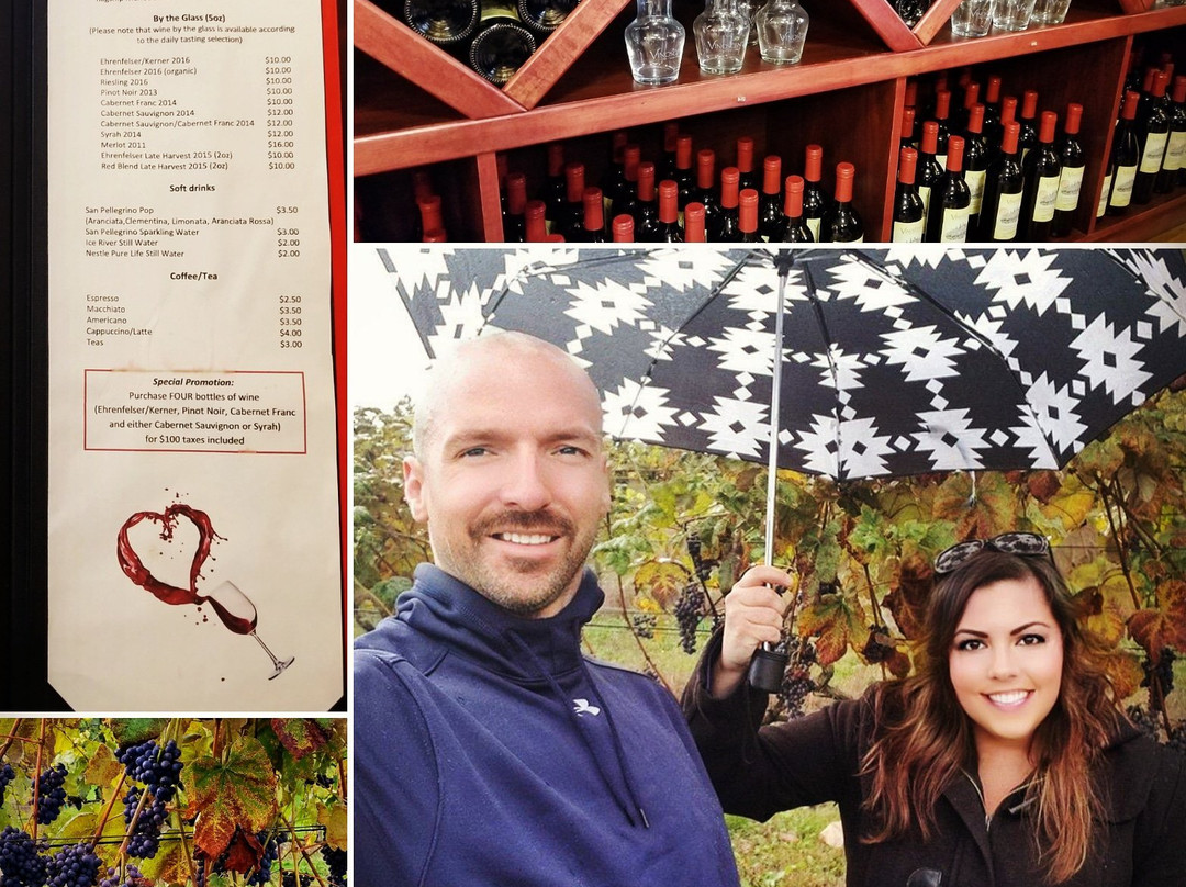 Vinoscenti Vineyards-素里必去景点