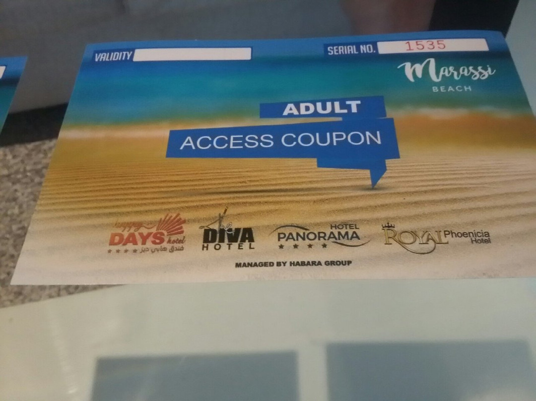 Royal Phoenicia Hotel主图