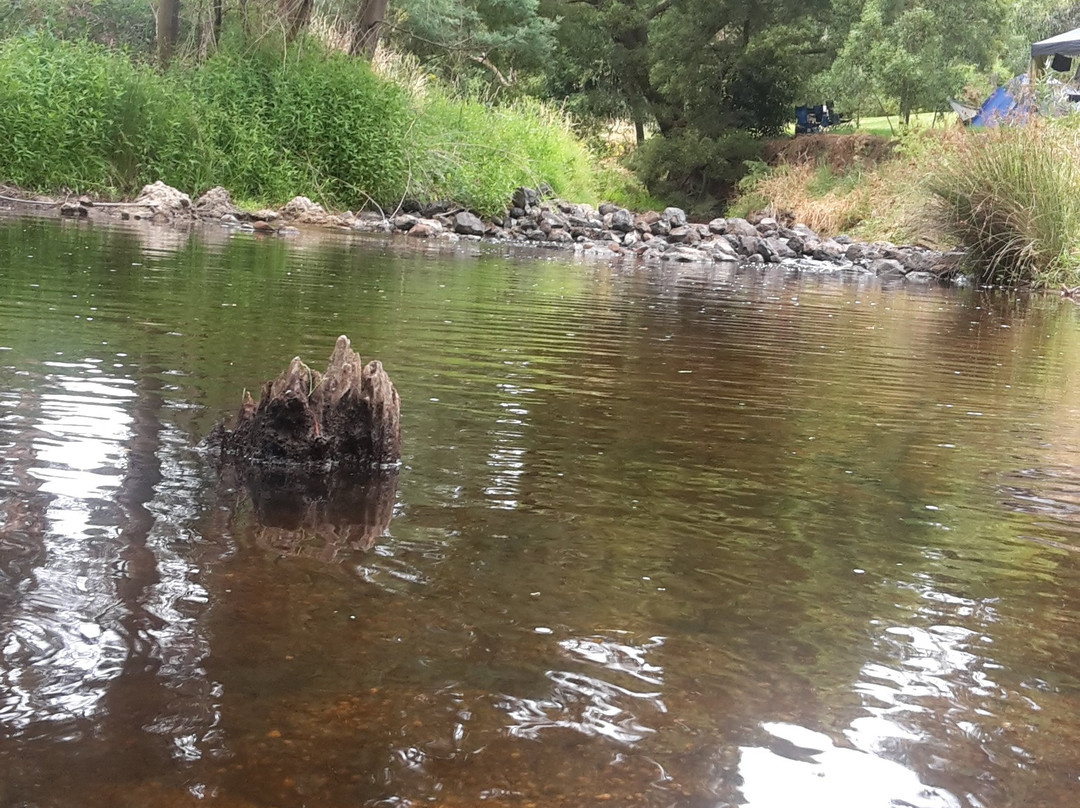 Franklin River Reserve-Toora必去景点