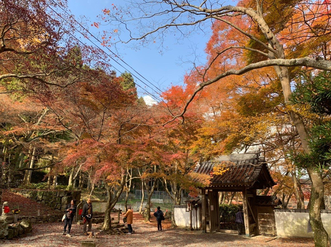Daiitokuji Temple-岸和田市必去景点