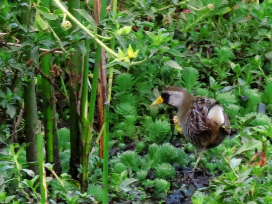 Parque Regional La Florida-波哥大必去景点