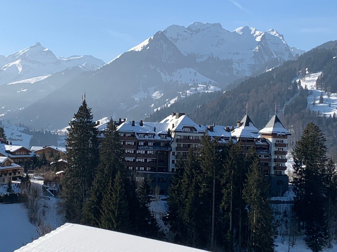 Hotel Le Grand Chalet Gstaad主图