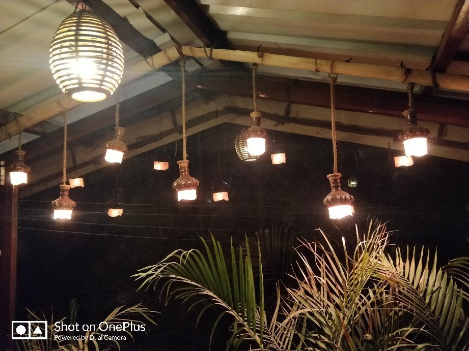 Dippy's The Boutique Hotel主图