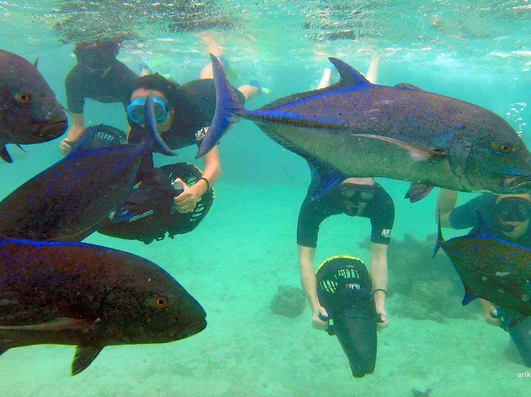 Ariki Adventures-拉罗汤加必去景点