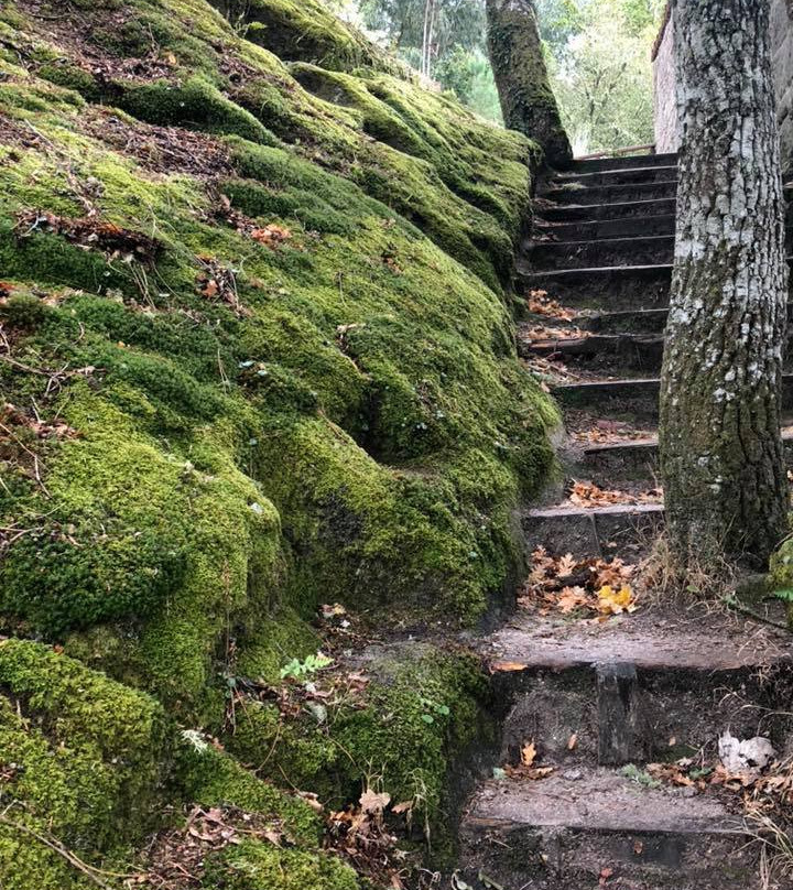 Parque Natural Serra da Encina da Lastra景点图片