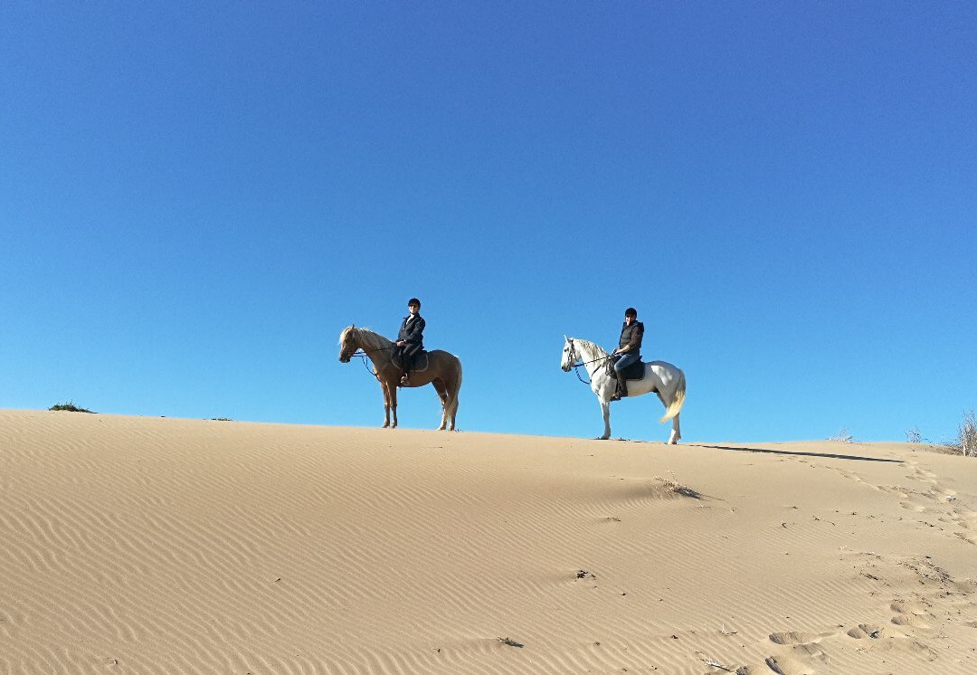 Zouina Cheval-索维拉必去景点